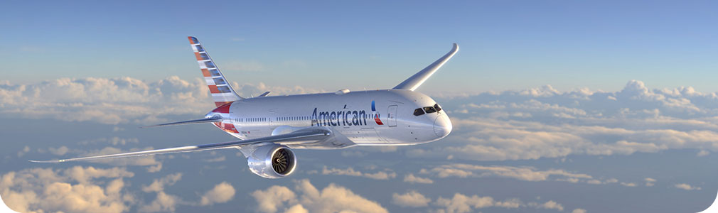 American Airlines supplier diversity home